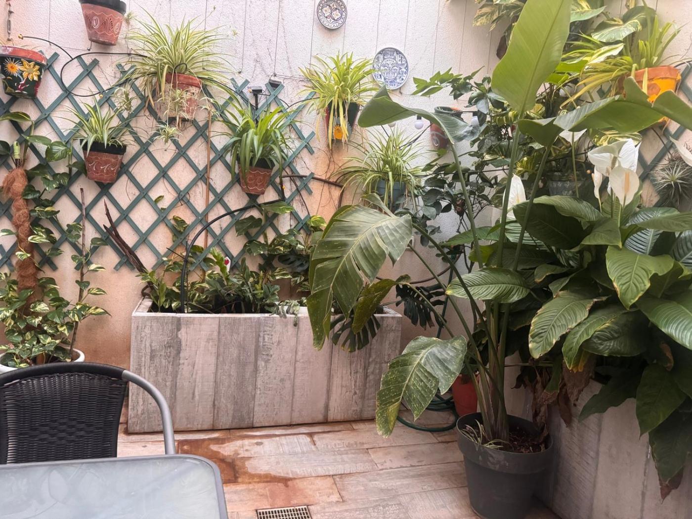 Beach Loft Tabaiba Zewnętrze zdjęcie